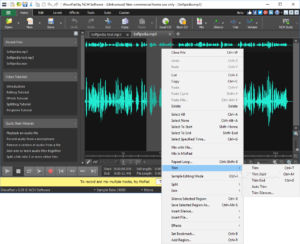 wavepad 5.22 with serial